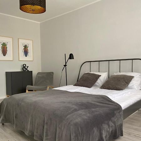Apartament Kilinskiego 9 ชวิดนิตซา ภายนอก รูปภาพ