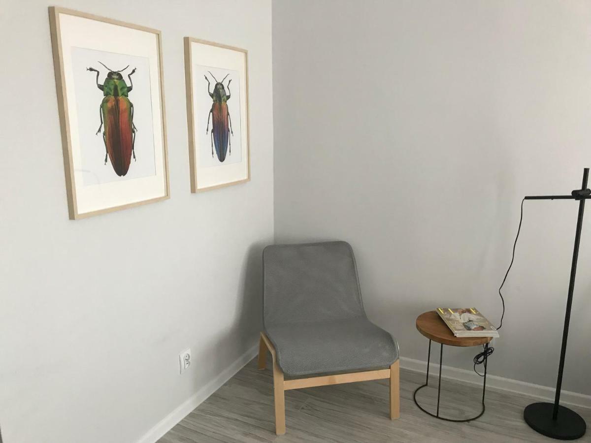 Apartament Kilinskiego 9 ชวิดนิตซา ภายนอก รูปภาพ